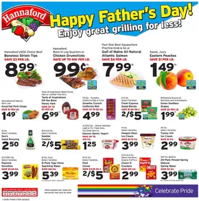 Hannaford catalogue in Pine Bush NY | Offers for bargain hunters | 2025-06-08T00:00:00.000Z - 2025-06-14T00:00:00.000Z