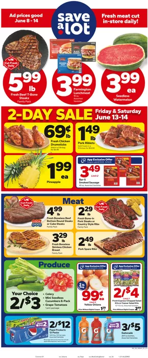 Save a Lot catalogue in Copenhagen NY | Our best offers for you | 2025-06-08T00:00:00.000Z - 2025-06-14T00:00:00.000Z