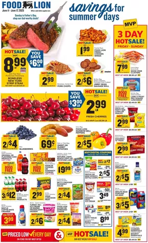 Food Lion catalogue in Dalzell SC | Our best deals for you | 2025-06-11T00:00:00.000Z - 2025-06-17T00:00:00.000Z