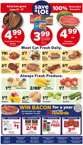 Save a Lot catalogue in Fayetteville TN | Current bargains and offers | 2025-06-11T00:00:00.000Z - 2025-06-17T00:00:00.000Z