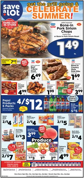 Save a Lot catalogue | Save now with our deals | 2025-06-11T00:00:00.000Z - 2025-06-24T00:00:00.000Z