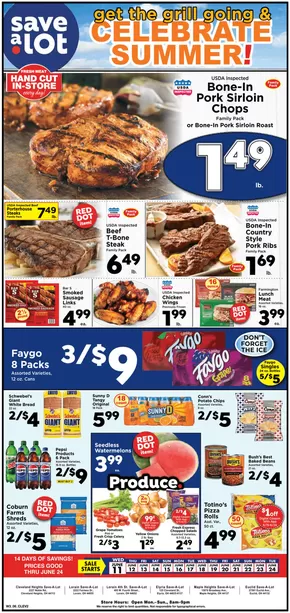 Save a Lot catalogue in Dalton GA | Save now with our deals | 2025-06-11T00:00:00.000Z - 2025-06-24T00:00:00.000Z