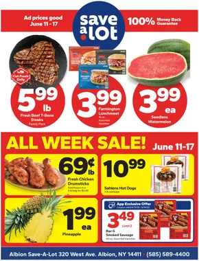 Save a Lot catalogue in Albion NY | Our best deals for you | 2025-06-11T00:00:00.000Z - 2025-06-17T00:00:00.000Z