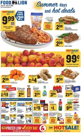 Food Lion catalogue in Maxton NC | Attractive special offers for everyone | 2025-06-18T00:00:00.000Z - 2025-06-24T00:00:00.000Z