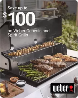 Ace Hardware catalogue in Christiansburg VA | Current deals and offers | 2026-04-05T00:00:00.000Z - 2026-04-19T00:00:00.000Z