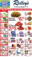 Ridley's Family Markets catalogue | Our best bargains | 2026-04-14T00:00:00.000Z - 2026-04-20T00:00:00.000Z